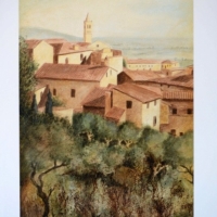 Coletti3