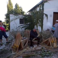 Festa_della_saggina_2018_10