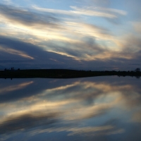 Nature 325