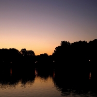 Nature 334