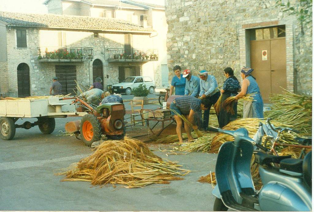 La scopa di Saggina